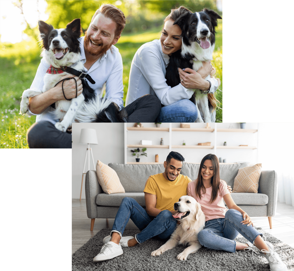 PetFriendly Apartments in Charlotte Greenway at Mallard Creek